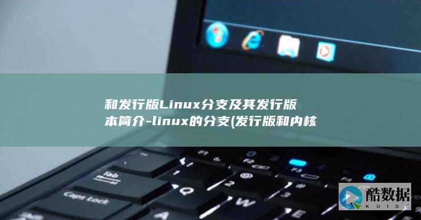 和发行版Linux分支及其发行版本简介-linux的分支 (发行版和内核版)
