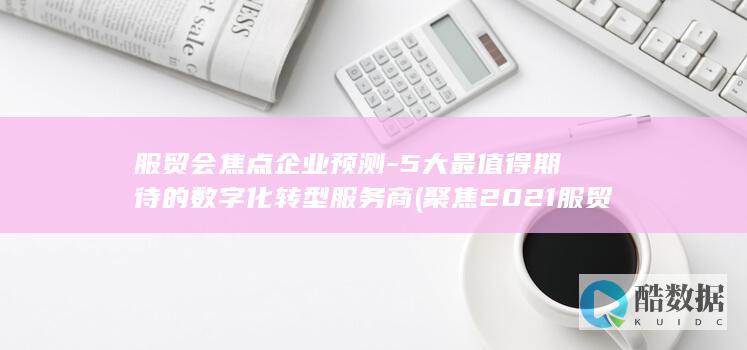 服贸会焦点企业预测-5大最值得期待的数字化转型服务商 (聚焦2021服贸会)
