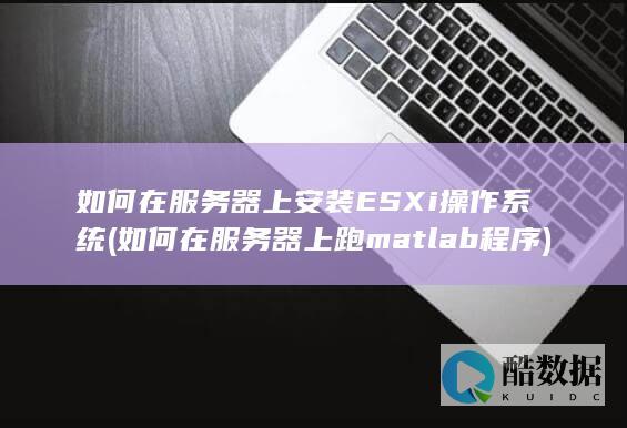 如何在服务器上安装ESXi操作系统 (如何在服务器上跑matlab程序)
