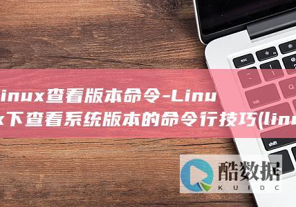 linux查看版本命令-Linux下查看系统版本的命令行技巧 (linux查看磁盘空间 命令)