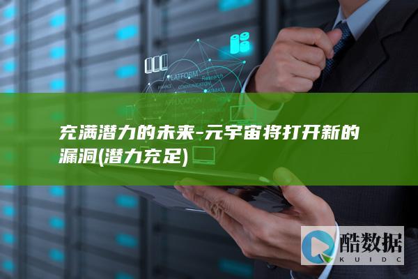 充满潜力的未来-元宇宙将打开新的漏洞 (潜力充足)
