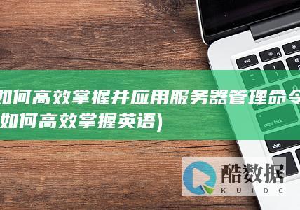 如何高效掌握英语