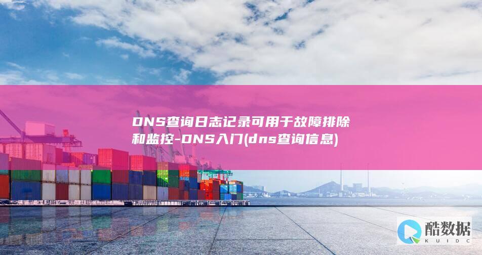 DNS查询日志记录可用于故障排除和监控-DNS入门 (dns查询信息)
