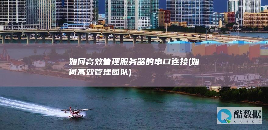 如何高效管理服务器的串口连接 (如何高效管理团队)
