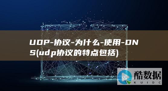 UDP-协议-为什么-使用-DNS (udp协议的特点包括)