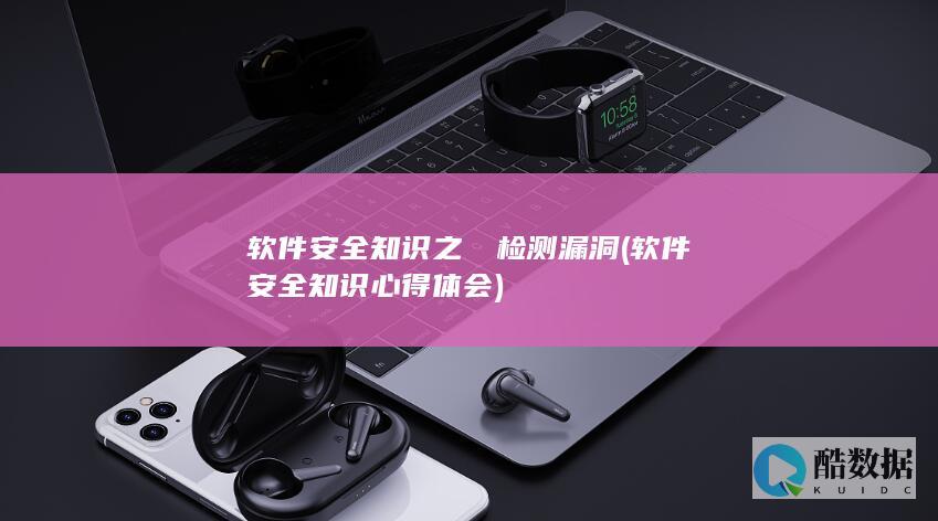 软件安全知识之​​检测漏洞 (软件安全知识心得体会)