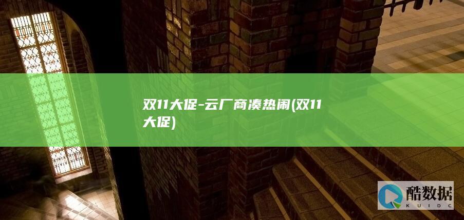 双11大促-云厂商凑热闹 (双11大促)