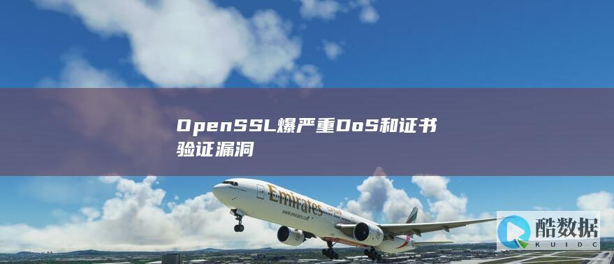 OpenSSL爆严重DoS和证书验证漏洞
