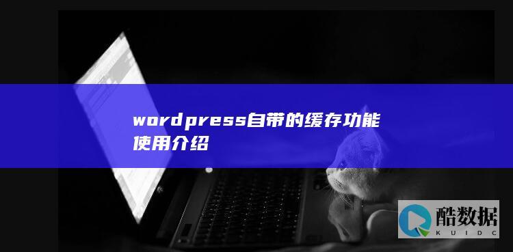 wordpress自带的缓存功能使用介绍