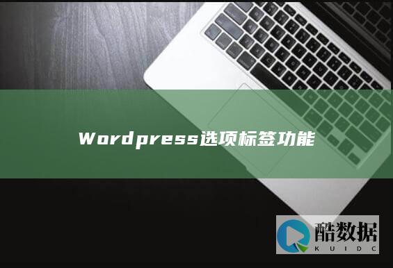 Wordpress选项标签功能