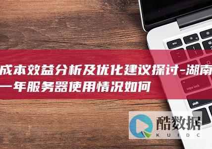 成本效益分析及优化建议探讨-湖南一年服务器使用情况如何