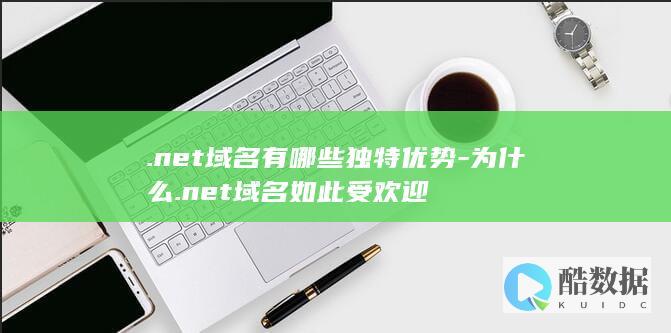 .net域名有哪些独特优势-为什么.net域名如此受欢迎