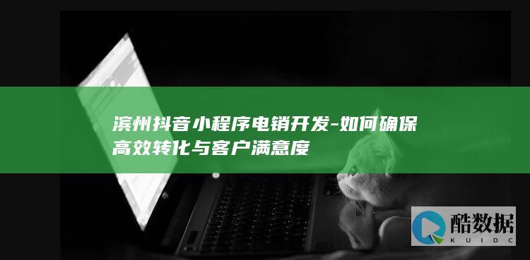 滨州抖音小程序电销开发-如何确保高效转化与客户满意度