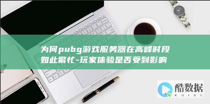 为何pubg游戏服务器在高峰时段如此繁忙-玩家体验是否受到影响