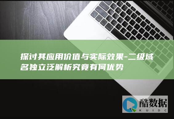 探讨其应用价值与实际效果-二级域名独立泛解析究竟有何优势