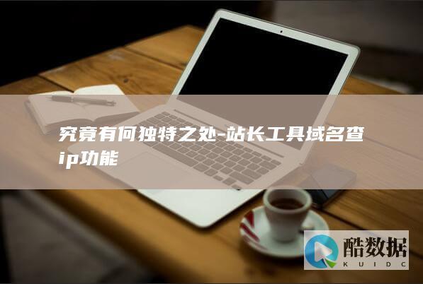 站长工具IP查询独特性