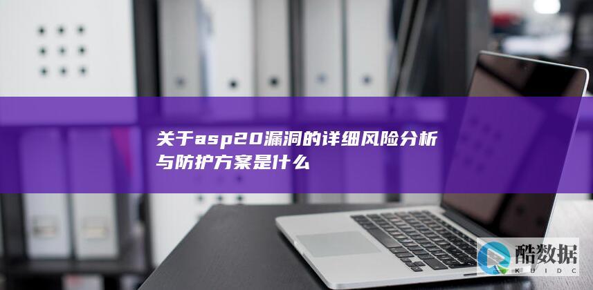 关于asp20的详细风险分析与防护方案是什么