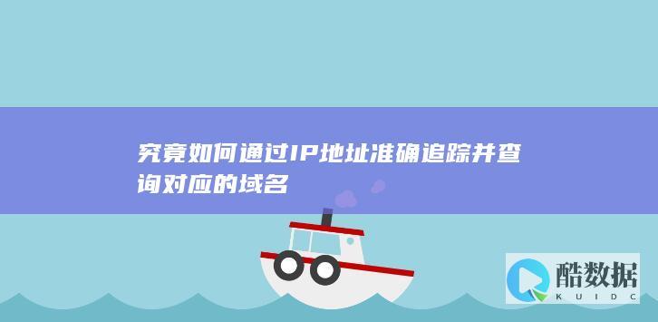 准确IP对应域名技巧