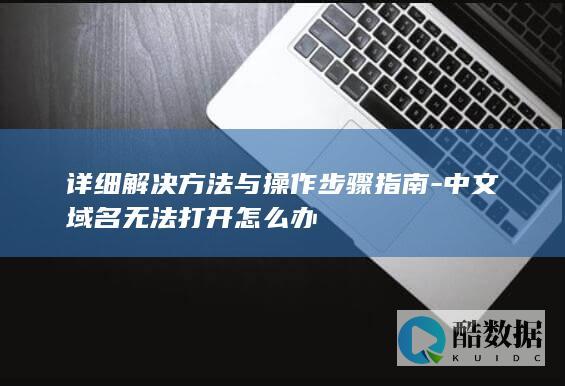 详细解决方法与操作步骤指南-中文域名无法打开怎么办