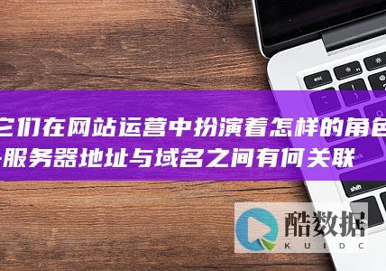 它们在网站运营中扮演着怎样的角色-服务器地址与域名之间有何关联