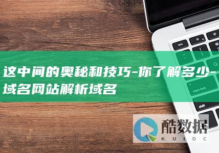这中间的奥秘和技巧-你了解多少-域名网站解析域名