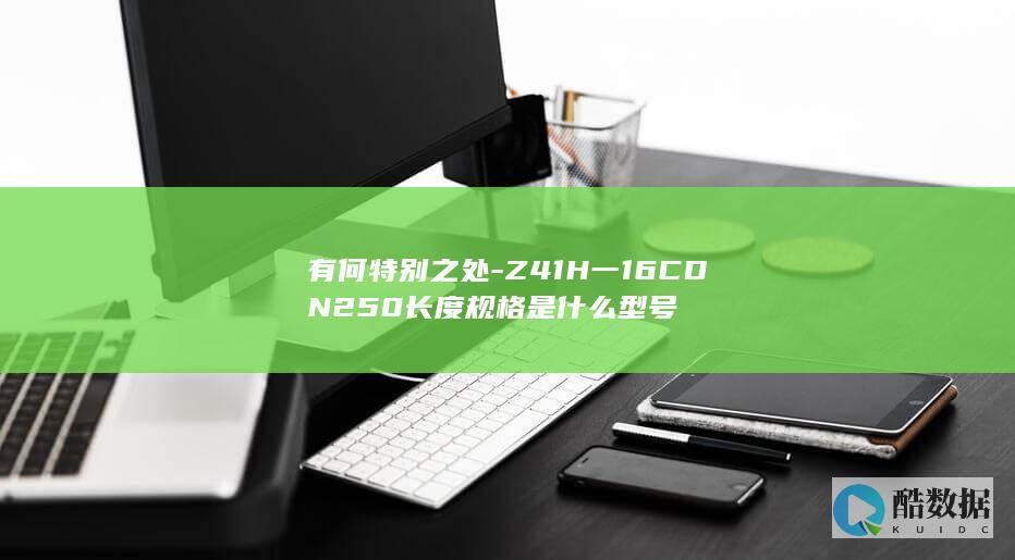有何特别之处-Z41H一16CDN250长度规格是什么型号
