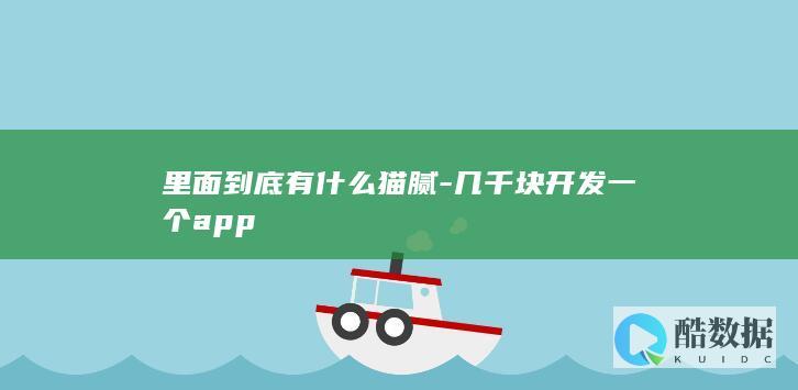 里面到底有什么猫腻-几千块开发一个app