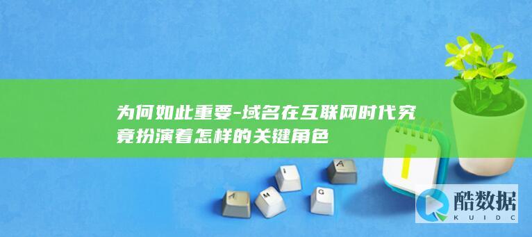 为何如此重要-域名在互联网时代究竟扮演着怎样的关键角色
