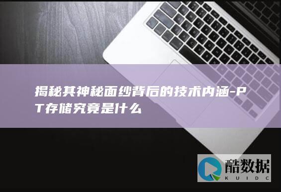 PT究竟是什么
