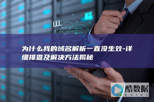 为什么我的域名解析一直没生效-详细排查及解决方法揭秘