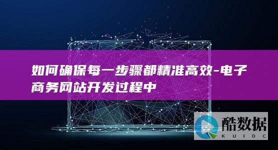 电子商务精准开发全流程解析