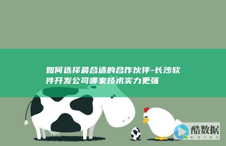如何选择最合适的合作伙伴-长沙软件开发公司哪家技术实力更强