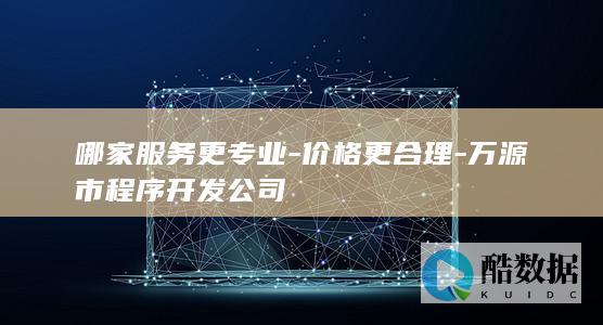 哪家服务更专业-价格更合理-万源市程序开发公司