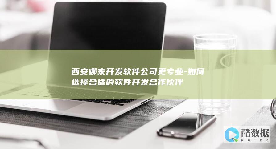软件开发公司选择标准
