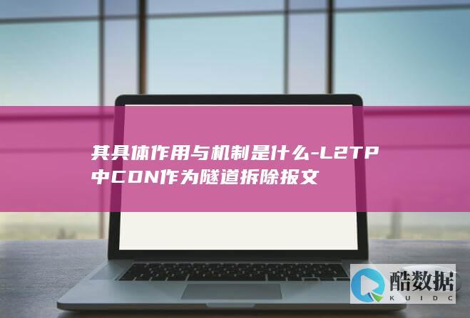 CDN在L2TP隧道中的应用机制