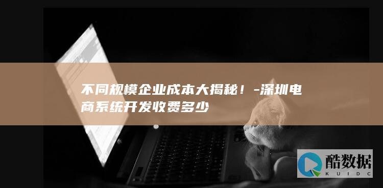 不同规模电商系统开发价格
