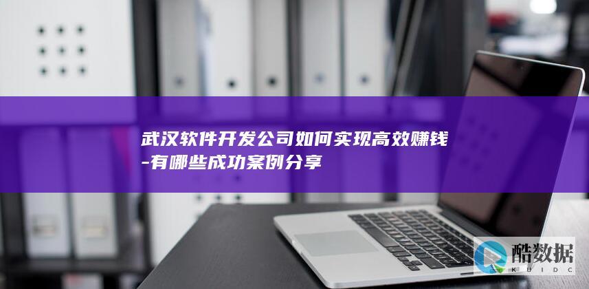 武汉软件开发高效盈利策略
