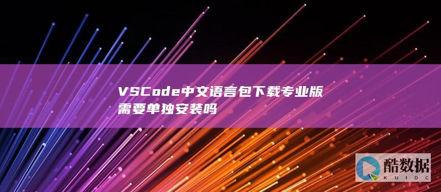 VSCode中文语言包下载专业版需要单独安装吗