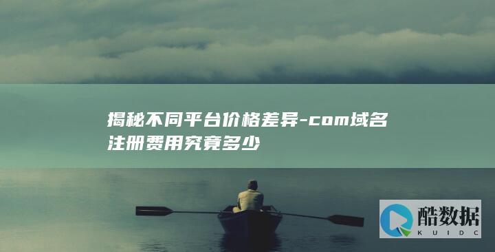 揭秘不同平台价格差异-com域名注册费用究竟多少