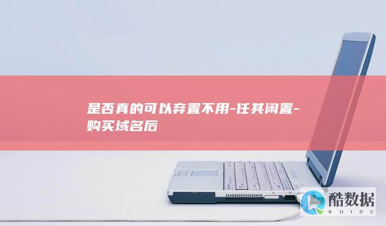 是否真的可以弃置不用-任其闲置-购买域名后