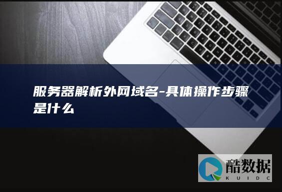 服务器解析外网域名-具体操作步骤是什么