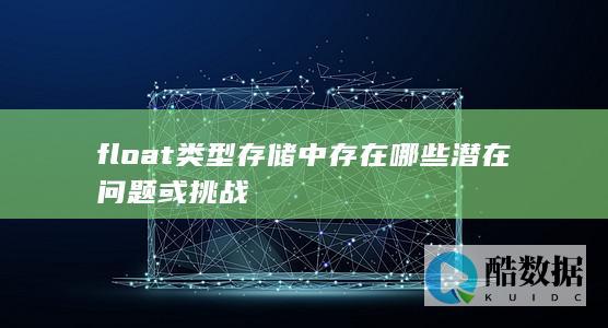 float类型存储中存在哪些潜在问题或挑战