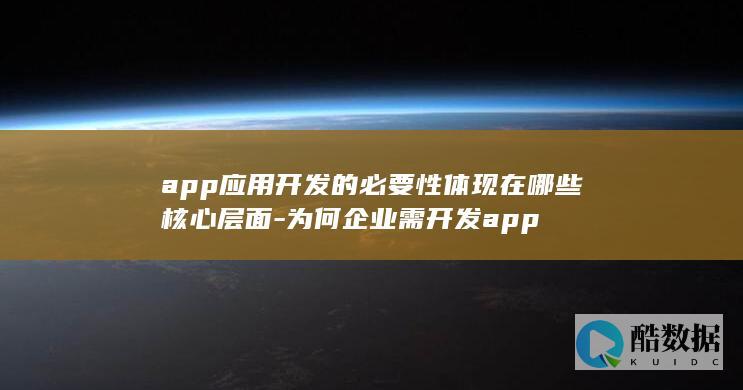 企业app核心价值层面