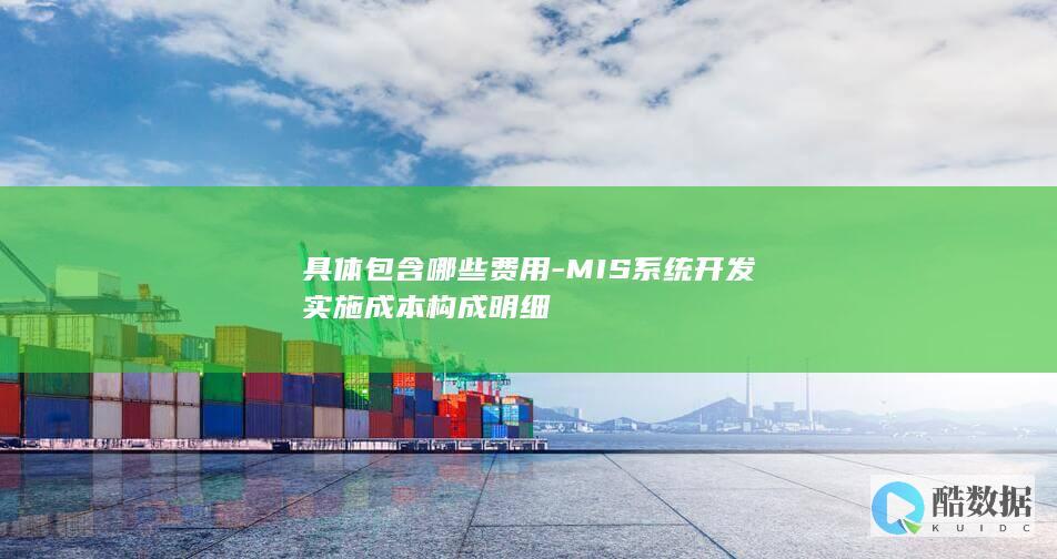 具体包含哪些费用-MIS系统开发实施成本构成明细