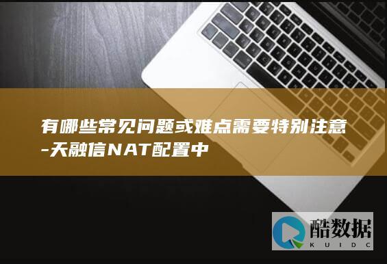 有哪些常见问题或难点需要特别注意-天融信NAT配置中