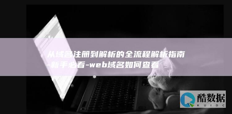 从域名注册到解析的全流程解析指南-新手必看-web域名如何查看