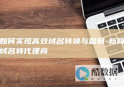 如何实现高效域名转换与盈利-新网域名转代理商