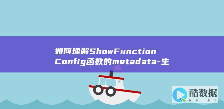 如何理解ShowFunctionConfig函数的metadata-生命周期管理和工作流API在函数配置中的应用