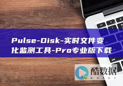 Pulse-Disk-实时文件变化监测工具-Pro专业版下载