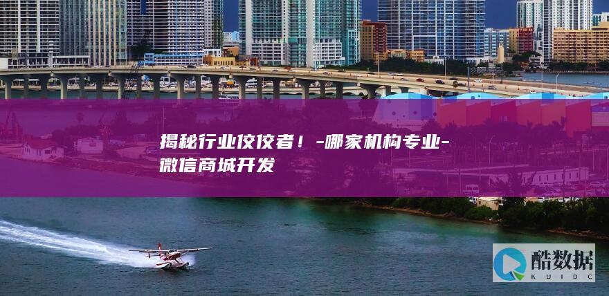 揭秘行业佼佼者！-哪家机构专业-微信商城开发